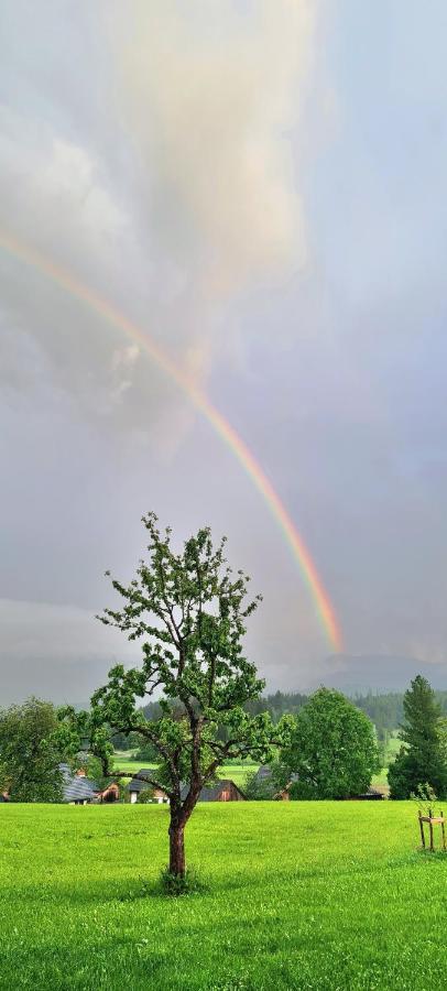 Ferienwohnungen Bergpanorama Bad Mitterndorf Dış mekan fotoğraf